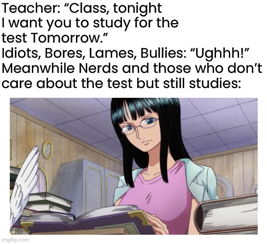 One Piece POV Meme Part 3: Studying | Teacher: “Class, tonight I want you to study for the test Tomorrow.”
Idiots, Bores, Lames, Bullies: “Ughhh!”
Meanwhile Nerds and those who don’t care about the test but still studies: | image tagged in school,memes,studying,nico robin,test,one piece | made w/ Imgflip meme maker