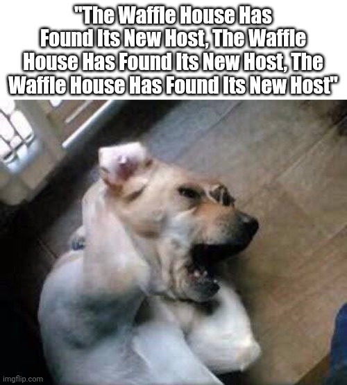 The Waffle House Has Found It's New Host | "The Waffle House Has Found Its New Host, The Waffle House Has Found Its New Host, The Waffle House Has Found Its New Host" | image tagged in waffle house,spam,youtube comments,waffle,dog,pitbull | made w/ Imgflip meme maker