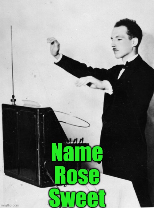 Theramin - Music for Nerds | Name
Rose
Sweet | image tagged in theramin - music for nerds | made w/ Imgflip meme maker