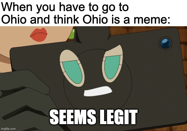 When you have to go to Ohio and think Ohio is a meme:; SEEMS LEGIT | image tagged in ohio,funny | made w/ Imgflip meme maker