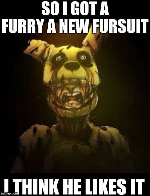 get springlocked b*tch (i'm joking, my followers that are furries) | SO I GOT A FURRY A NEW FURSUIT; I THINK HE LIKES IT | image tagged in springlocked karma,jeez and crow,i'm posting,in here a lot | made w/ Imgflip meme maker