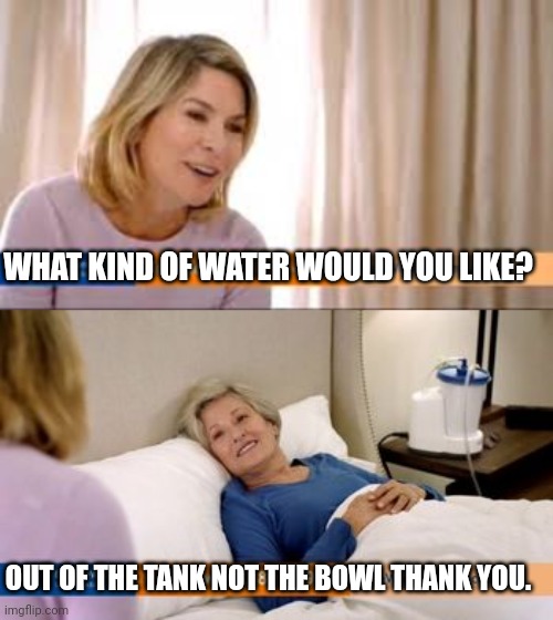 WHAT KIND OF WATER WOULD YOU LIKE? OUT OF THE TANK NOT THE BOWL THANK YOU. | image tagged in thank you | made w/ Imgflip meme maker