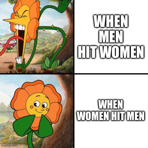 angry flower | WHEN MEN HIT WOMEN; WHEN WOMEN HIT MEN | image tagged in angry flower | made w/ Imgflip meme maker