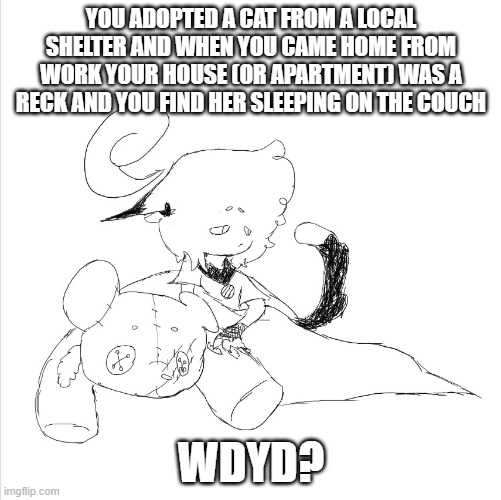 oi  no erp but if you wanna memechat send link idk what else to say so jesbsbsbs | YOU ADOPTED A CAT FROM A LOCAL SHELTER AND WHEN YOU CAME HOME FROM WORK YOUR HOUSE (OR APARTMENT) WAS A RECK AND YOU FIND HER SLEEPING ON THE COUCH; WDYD? | image tagged in wdyd | made w/ Imgflip meme maker