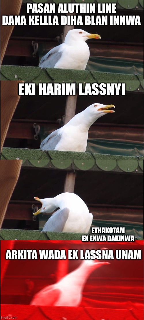 Inhaling Seagull | PASAN ALUTHIN LINE DANA KELLLA DIHA BLAN INNWA; EKI HARIM LASSNYI; ETHAKOTAM EX ENWA DAKINWA; ARKITA WADA EX LASSNA UNAM | image tagged in memes,inhaling seagull | made w/ Imgflip meme maker