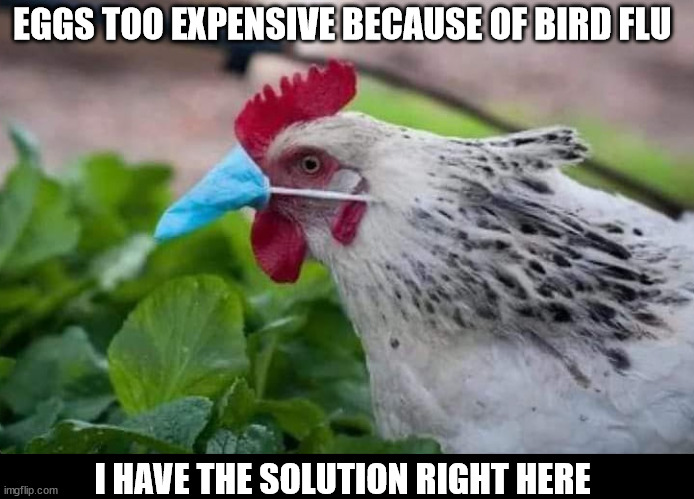 EGGS TOO EXPENSIVE BECAUSE OF BIRD FLU; I HAVE THE SOLUTION RIGHT HERE | image tagged in bird flu,egg prices | made w/ Imgflip meme maker