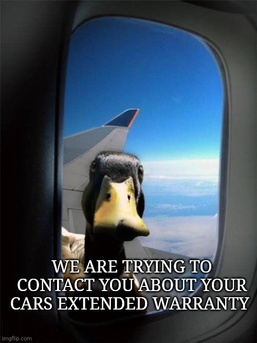 Hi | WE ARE TRYING TO CONTACT YOU ABOUT YOUR CARS EXTENDED WARRANTY | image tagged in let me in duck,extended warranty,car | made w/ Imgflip meme maker