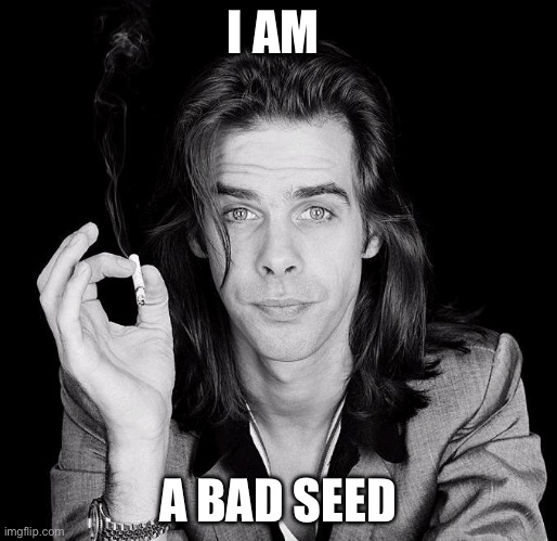 Nick Cave and the Bad Seeds | I AM A BAD SEED | image tagged in nick cave,seeds,bad | made w/ Imgflip meme maker