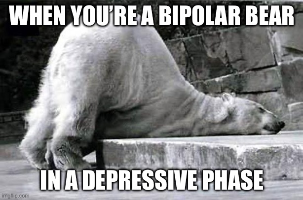 tired polar bear | WHEN YOU’RE A BIPOLAR BEAR; IN A DEPRESSIVE PHASE | image tagged in tired polar bear | made w/ Imgflip meme maker