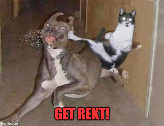 GET REKT | GET REKT! | image tagged in get rekt | made w/ Imgflip meme maker