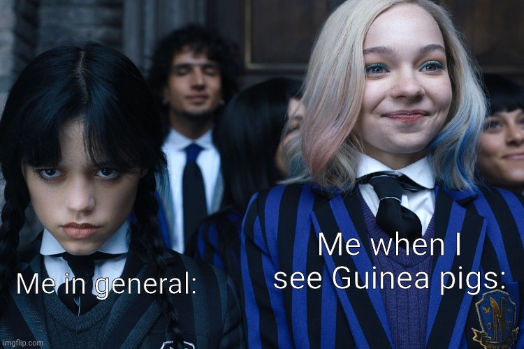They cheer me up so fast! | Me when I see Guinea pigs:; Me in general: | image tagged in wednesday and enid,true story | made w/ Imgflip meme maker