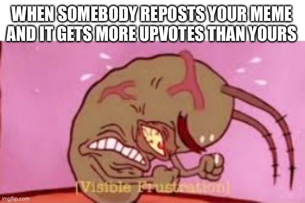 Visible Frustration | WHEN SOMEBODY REPOSTS YOUR MEME AND IT GETS MORE UPVOTES THAN YOURS | image tagged in visible frustration,memes,funny | made w/ Imgflip meme maker