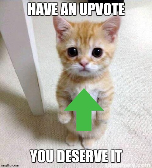 Cute Cat | HAVE AN UPVOTE; YOU DESERVE IT | image tagged in memes,cute cat | made w/ Imgflip meme maker