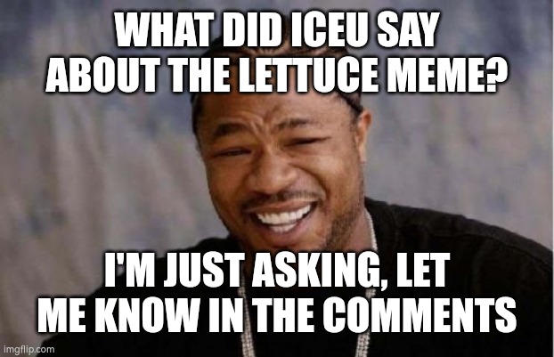 A question | WHAT DID ICEU SAY ABOUT THE LETTUCE MEME? I'M JUST ASKING, LET ME KNOW IN THE COMMENTS | image tagged in memes,yo dawg heard you | made w/ Imgflip meme maker