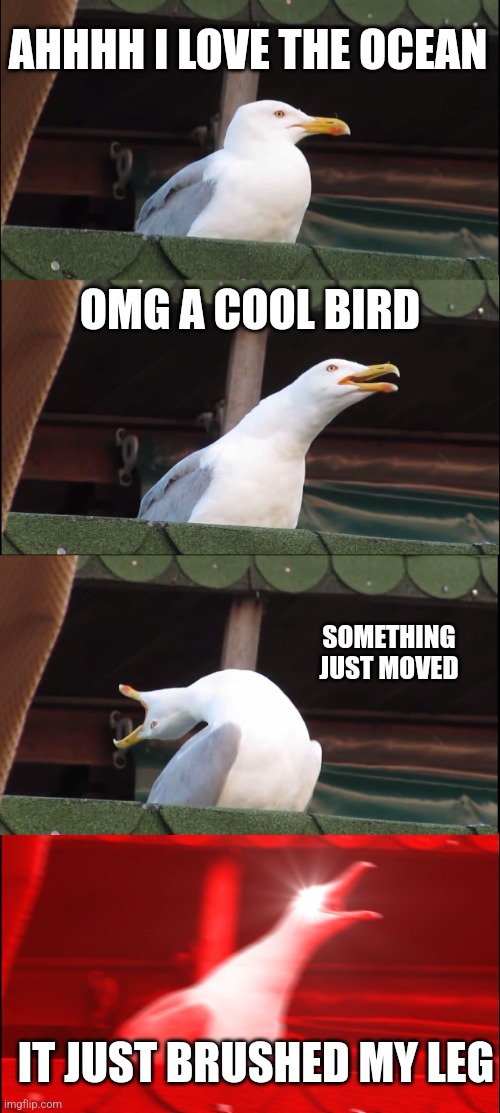 True Story | AHHHH I LOVE THE OCEAN; OMG A COOL BIRD; SOMETHING JUST MOVED; IT JUST BRUSHED MY LEG | image tagged in memes,inhaling seagull | made w/ Imgflip meme maker