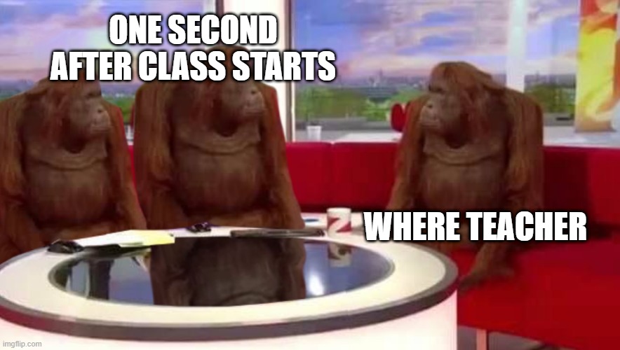 School Be Like | ONE SECOND AFTER CLASS STARTS; WHERE TEACHER | image tagged in where monkey | made w/ Imgflip meme maker