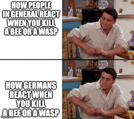 German people on killing bees and wasps | HOW PEOPLE IN GENERAL REACT WHEN YOU KILL A BEE OR A WASP; HOW GERMANS REACT WHEN YOU KILL A BEE OR A WASP | image tagged in surprised joey | made w/ Imgflip meme maker