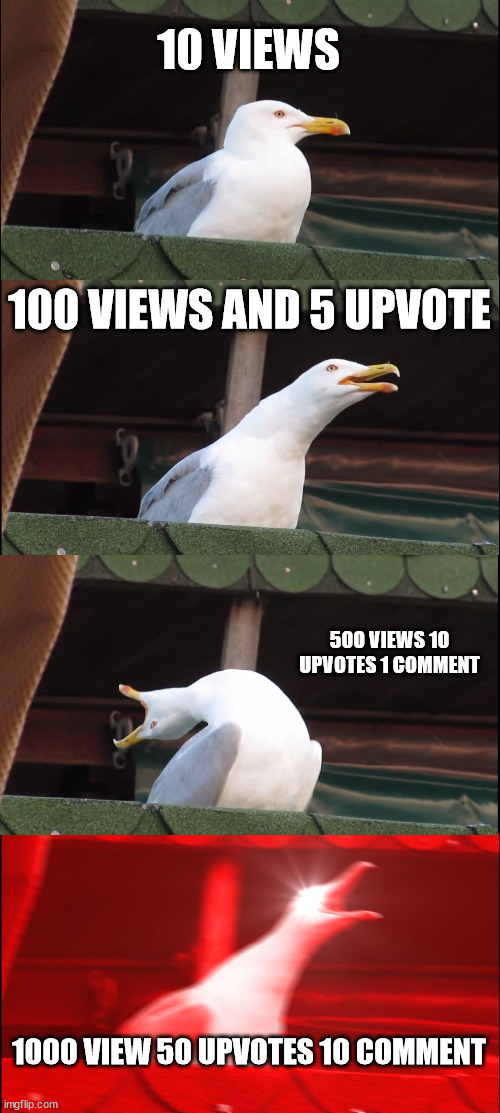 begginer luck | 10 VIEWS; 100 VIEWS AND 5 UPVOTE; 500 VIEWS 10 UPVOTES 1 COMMENT; 1000 VIEW 50 UPVOTES 10 COMMENT | image tagged in memes,inhaling seagull | made w/ Imgflip meme maker