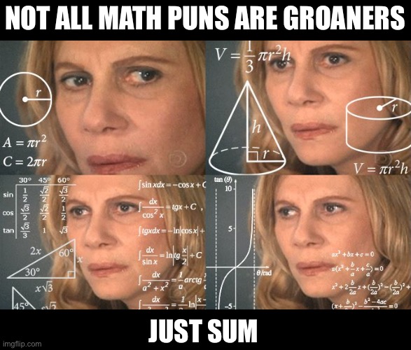 Math | NOT ALL MATH PUNS ARE GROANERS; JUST SUM | image tagged in calculating meme | made w/ Imgflip meme maker
