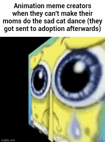 Sad cat dance meme? 