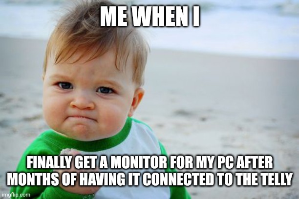 This actually happened | ME WHEN I; FINALLY GET A MONITOR FOR MY PC AFTER MONTHS OF HAVING IT CONNECTED TO THE TELLY | image tagged in memes,success kid original | made w/ Imgflip meme maker