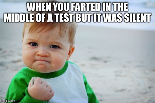 It makes me happy | WHEN YOU FARTED IN THE MIDDLE OF A TEST BUT IT WAS SILENT | image tagged in memes,success kid original | made w/ Imgflip meme maker