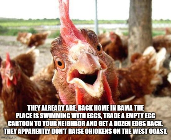 Chicken | THEY ALREADY ARE, BACK HOME IN BAMA THE PLACE IS SWIMMING WITH EGGS, TRADE A EMPTY EGG CARTOON TO YOUR NEIGHBOR AND GET A DOZEN EGGS BACK. T | image tagged in chicken | made w/ Imgflip meme maker