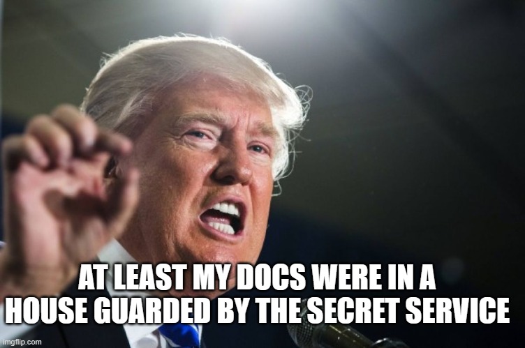 donald trump | AT LEAST MY DOCS WERE IN A HOUSE GUARDED BY THE SECRET SERVICE | image tagged in donald trump | made w/ Imgflip meme maker