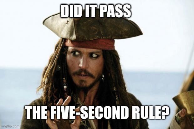 Jack Sparrow Pirate | DID IT PASS THE FIVE-SECOND RULE? | image tagged in jack sparrow pirate | made w/ Imgflip meme maker