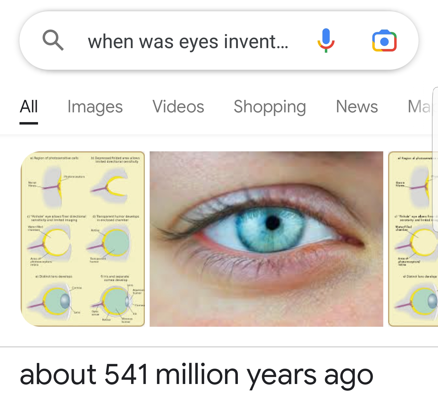 High Quality Eyes Blank Meme Template