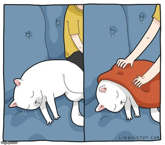 A Cat Guys Way Of Thinking | image tagged in memes,comics,cats,guy,cover,blanket | made w/ Imgflip meme maker