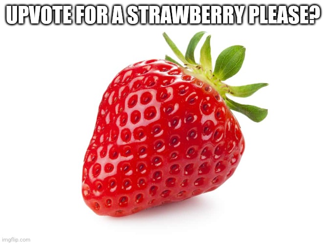 Upvote for a strawberry please? | UPVOTE FOR A STRAWBERRY PLEASE? | image tagged in upvote begging,strawberry | made w/ Imgflip meme maker