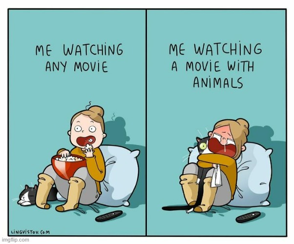 A Cat Lady's Way Of Thinking | image tagged in memes,comics,cats,cat lady,watching,movies | made w/ Imgflip meme maker