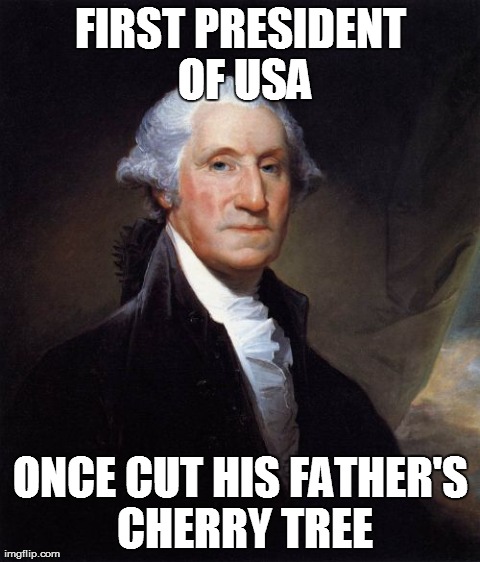 George Washington | FIRST PRESIDENT OF USA ONCE CUT HIS FATHER'S CHERRY TREE | image tagged in memes,george washington | made w/ Imgflip meme maker