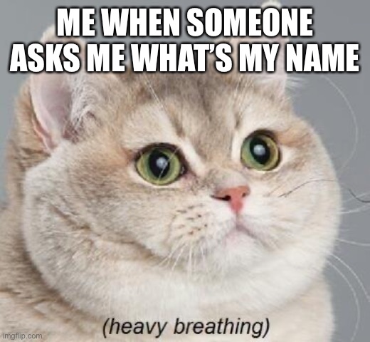 :C | ME WHEN SOMEONE ASKS ME WHAT’S MY NAME | image tagged in memes,heavy breathing cat | made w/ Imgflip meme maker