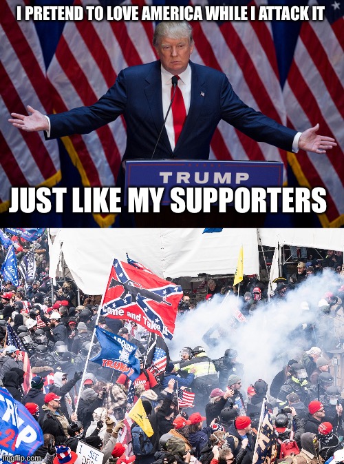 I PRETEND TO LOVE AMERICA WHILE I ATTACK IT; JUST LIKE MY SUPPORTERS | image tagged in donald trump,capitol tourists | made w/ Imgflip meme maker