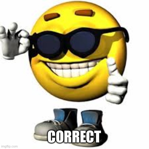 Emoji With Shoes And Hands Shaking His Glasses | CORRECT | image tagged in emoji with shoes and hands shaking his glasses | made w/ Imgflip meme maker