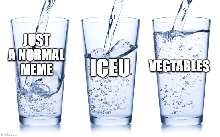 img flips upvote system | JUST A NORMAL MEME; ICEU; VEGTABLES | image tagged in water,glasses | made w/ Imgflip meme maker