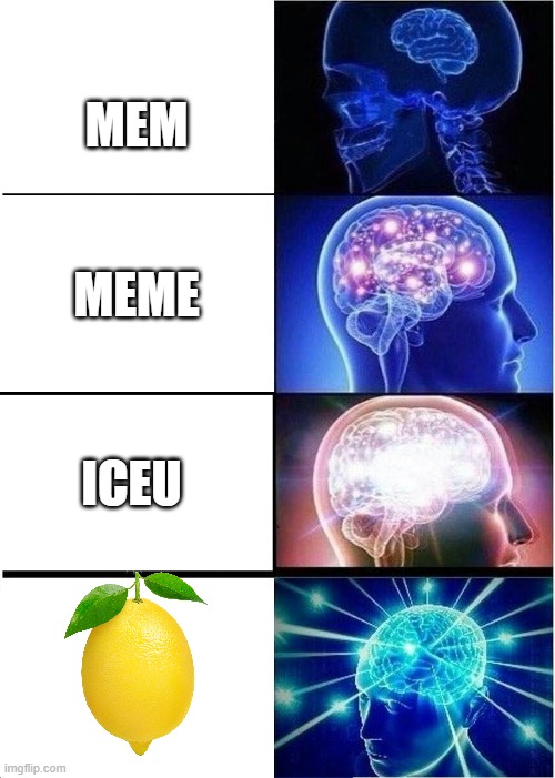 my turn for fruit | MEM; MEME; ICEU | image tagged in memes,expanding brain | made w/ Imgflip meme maker