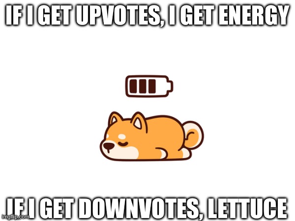 shibe > lettuce | IF I GET UPVOTES, I GET ENERGY; IF I GET DOWNVOTES, LETTUCE | image tagged in cute,upvotes,lettuce | made w/ Imgflip meme maker