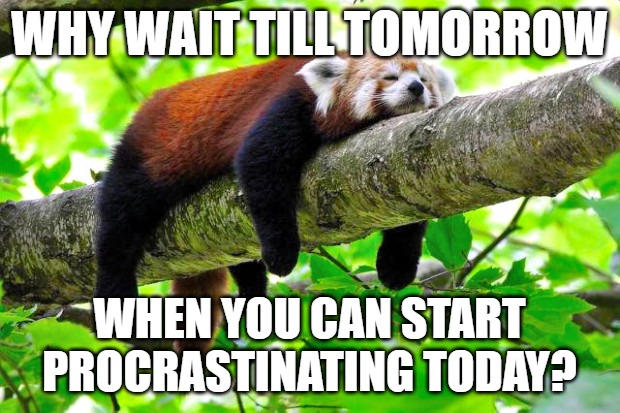 Procrastination | WHY WAIT TILL TOMORROW; WHEN YOU CAN START PROCRASTINATING TODAY? | image tagged in procrastination | made w/ Imgflip meme maker
