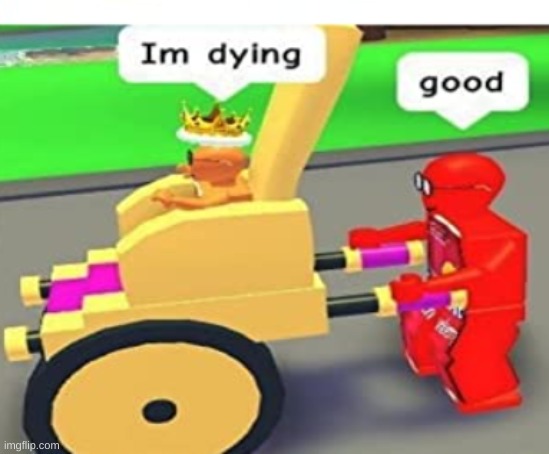 Good you should | image tagged in roblox,cursed | made w/ Imgflip meme maker