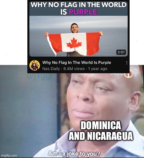 Why no flag in the world is purple | DOMINICA AND NICARAGUA | image tagged in am i a joke to you,flags | made w/ Imgflip meme maker