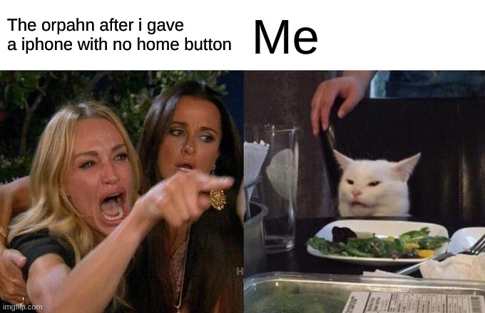 pov:your a savage | The orpahn after i gave a iphone with no home button; Me | image tagged in memes,woman yelling at cat | made w/ Imgflip meme maker