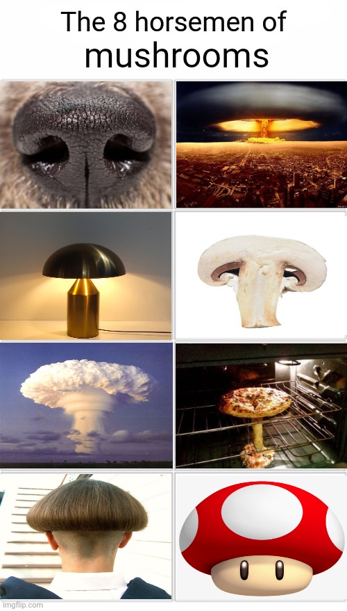 Mushrooms | mushrooms | image tagged in the 8 horsemen of,mushrooms,mushroom,memes,meme,8 horsemen | made w/ Imgflip meme maker