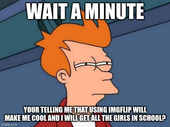 pls where girl | WAIT A MINUTE; YOUR TELLING ME THAT USING IMGFLIP WILL MAKE ME COOL AND I WILL GET ALL THE GIRLS IN SCHOOL? | image tagged in memes,futurama fry | made w/ Imgflip meme maker
