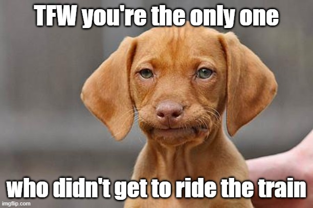Dissapointed puppy | TFW you're the only one; who didn't get to ride the train | image tagged in dissapointed puppy | made w/ Imgflip meme maker