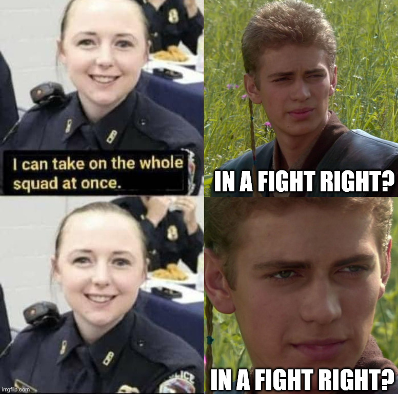 IN A FIGHT RIGHT? IN A FIGHT RIGHT? | image tagged in anakin padme 4 panel | made w/ Imgflip meme maker