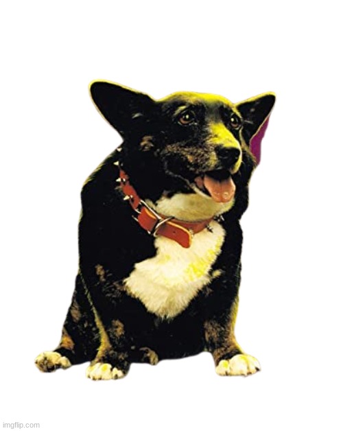 Dogzilla | image tagged in dogzilla | made w/ Imgflip meme maker
