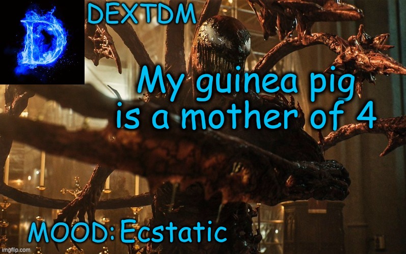 DexTDM Template | My guinea pig is a mother of 4; Ecstatic | image tagged in guinea pig,pig,peanut,oreo,mother,baby | made w/ Imgflip meme maker
